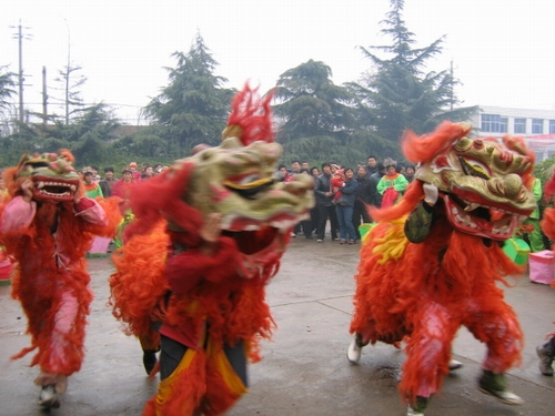 丰富多彩的群众文化活动——长清区舞狮表演.jpg